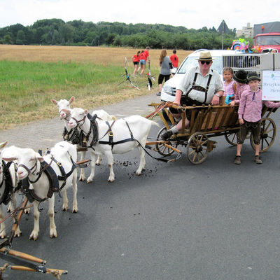 Impressionen vom Festumzug