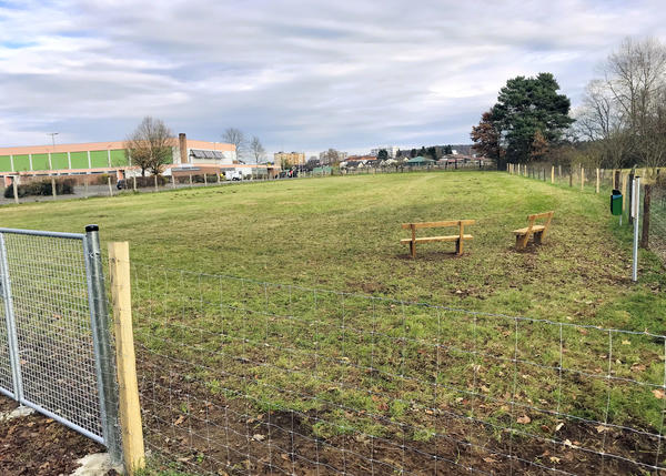 Hundefreilaufwiese hinter der Bulauhalle