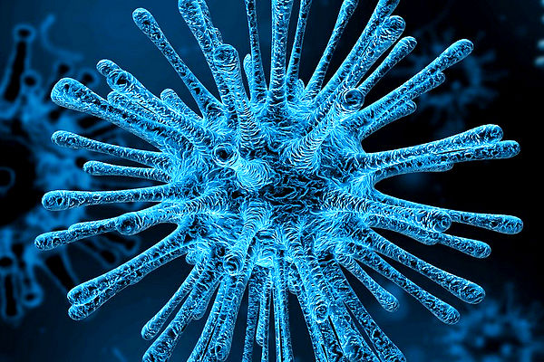 Virus- (c)Gerd_Altmann_Pixabay