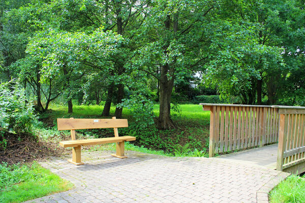EAM Wanderbank im Rodenbachtal