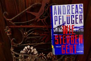Buchcover "Wie sterben geht"