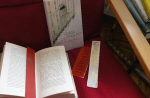 Buchcover "Die Bet&auml;ubung"