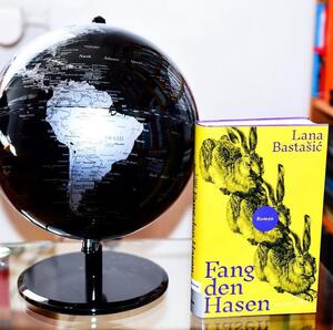 Buchcover "Fang den Hasen"