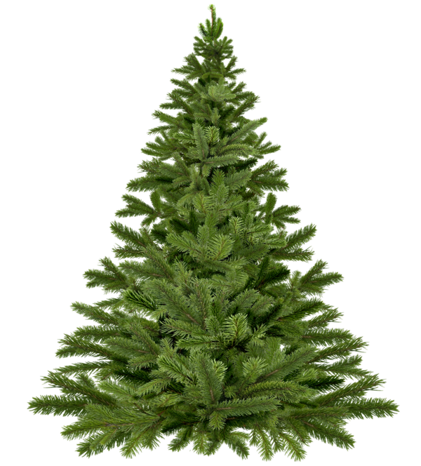 Weihnachtsbaum (c) Pixabay