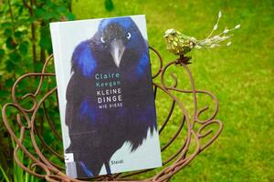 Buchcover "Kleine Dinge, wie diese"