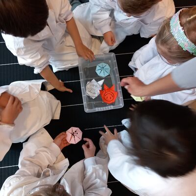 Kinder in einem Kreis von oben fotografiert. Die Kinder schauen gemeinsam in eine Schale in der Mitte des Bildes