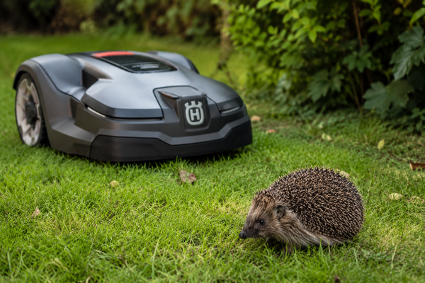 Symbolbild Igel und M&auml;hroboter