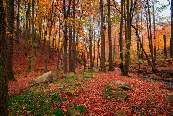Herbst_Letzte_Hilfe