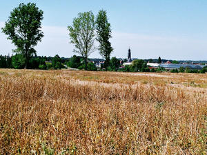 Natur(c)Werkmann